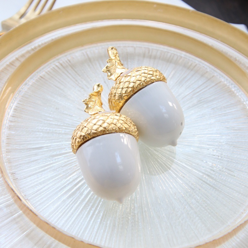 Acornȡڥåѡ / Vagabond House