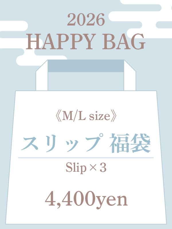 福袋/スリップ3枚セット