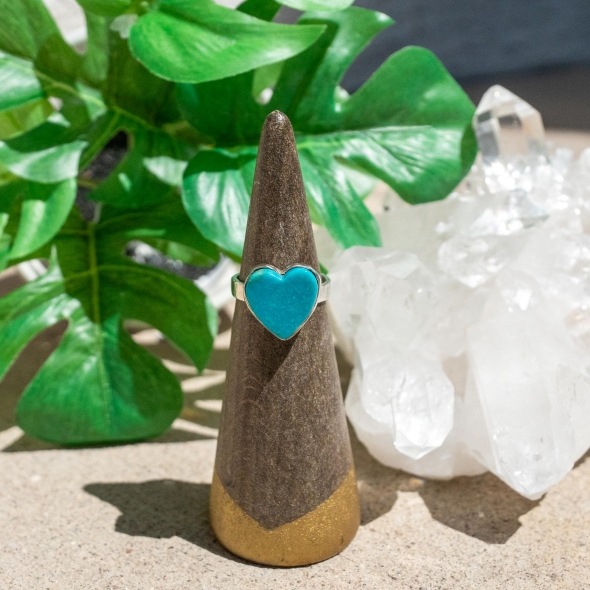 �������������(N)