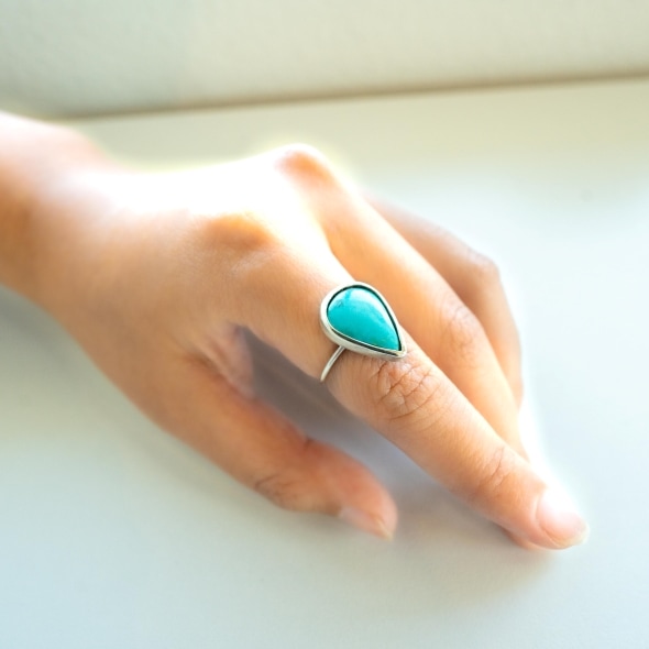 �������������(P)