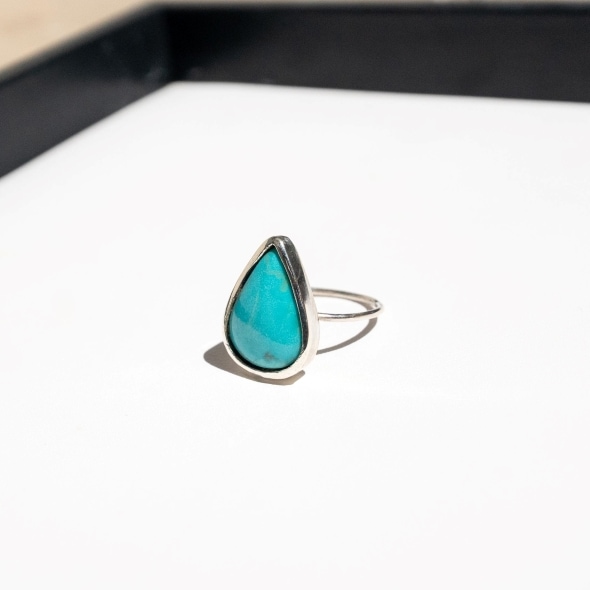 �������������(P)