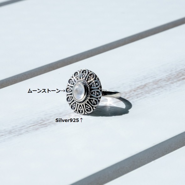 ࡼ󥹥ȡ󡡥󥰡(F)