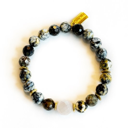 Ambitious������ӥ��㥹