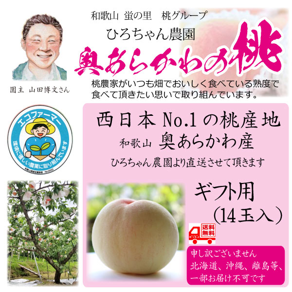 御中元 桃 ギフト 贈答用 和歌山の桃 奥あらかわ産 ひろちゃん農園 山田博文