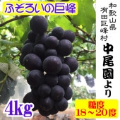   濫 ֤ɤ ²λͭ ¼ 껺ľ ĶŤ  濫 ƺ · ƻҤ֤ɤ 4kg Ȣ