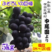   濫 ֤ɤ ²λͭ ¼ 껺ľ ĶŤ · ƻҤ֤ɤ 5kg Ȣ