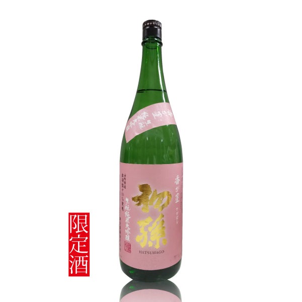 初孫 香が星(かがぼし) 生酛純米大吟醸 日本酒 限定酒 山形県 初孫 香が星 かがぼし 生もと 純米大吟醸