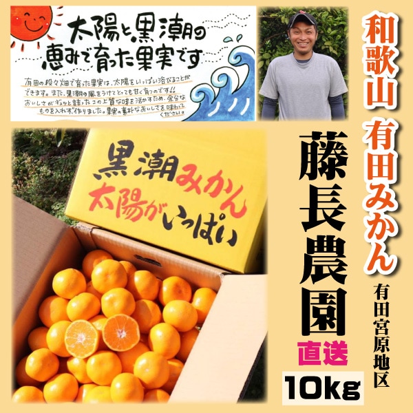 和歌山県有田産　マルチ栽培1級品みかん10kg 楽天市場】【2025年11月下旬ごろより順次発送】和歌山産 有田