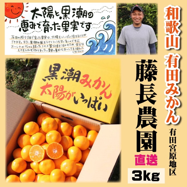 有田市宮原地区 藤長農園 お歳暮 有田みかん 3kg