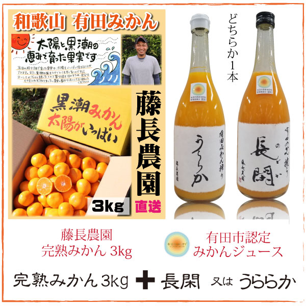   ߤ ͭĤߤ ľ ̵ ߤ3kg̵źäߤ󥸥塼1 ƣĹå