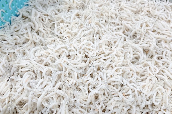 ���餹 �ץ쥼��� ���Ȥ����餹 ����ľ�� £���� ���餹 ���ե� ���ޤ������餹 ������٥��å� �²λ� ���餹����Ź ��建 ľ�� B���å�