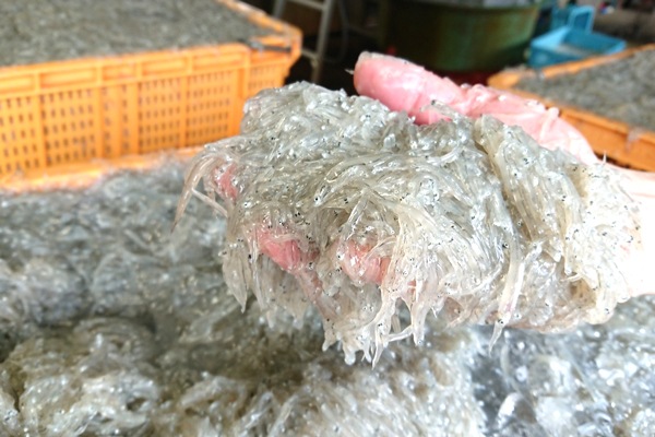 餹 ץ쥼 Ȥ餹 ľ £ 餹 ե ޤ餹 ٥å ²λ 餹Ź 建 ľ Cå