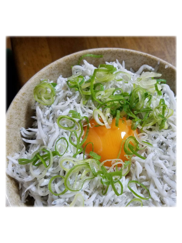 �ץ쥼��� ���Ȥ����餹 ����ľ�� £���� ���餹 ���ե� ���ޤ������餹 80g��8�ѥå��� ���󥰥饤�վ��� ���餹����Ź ��建ľ��