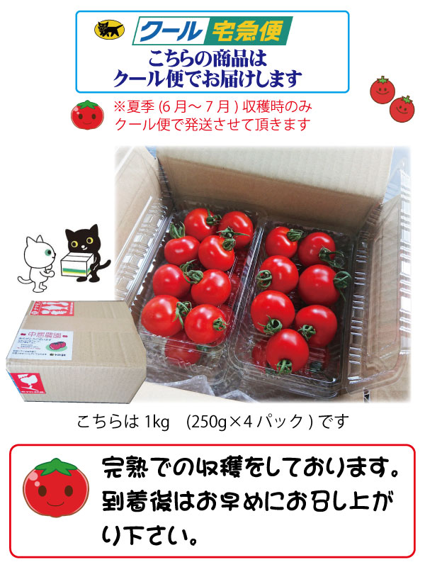 ߥ˥ȥޥ ե롼ĥȥޥ ²λ  ߥǥȥޥ2kg  250g8ѥå īΤ¨ȯ Ȥޤ ץȥޥ Ť   ǻ  ꥳԥ ӥߥc ̣  塼 ץ쥼 ե 11вٳ