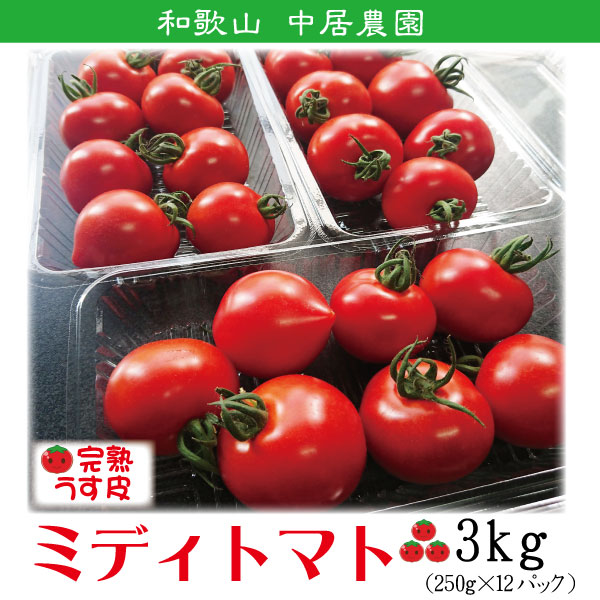 ե롼ĥȥޥ ߥ˥ȥޥ ϥȥޥ ²λ  ߥǥȥޥ3kg  250g12ѥå īΤ¨ȯ Ȥޤ ץȥޥȴŤ  ǻ  ꥳԥ ӥߥc̣  塼 ץ쥼 ե 11вٳ