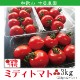ե롼ĥȥޥ ߥ˥ȥޥ ϥȥޥ ²λ  ߥǥȥޥ3kg  250g12ѥå īΤ¨ȯ Ȥޤ ץȥޥȴŤ  ǻ  ꥳԥ ӥߥc̣  塼 ץ쥼 ե 11вٳ