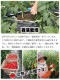 ե롼ĥȥޥ ߥ˥ȥޥ ϥȥޥ ²λ  ߥǥȥޥ3kg  250g12ѥå īΤ¨ȯ Ȥޤ ץȥޥȴŤ  ǻ  ꥳԥ ӥߥc̣  塼 ץ쥼 ե 11вٳ