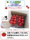 ե롼ĥȥޥ ߥ˥ȥޥ ϥȥޥ ²λ  ߥǥȥޥ3kg  250g12ѥå īΤ¨ȯ Ȥޤ ץȥޥȴŤ  ǻ  ꥳԥ ӥߥc̣  塼 ץ쥼 ե 11вٳ