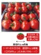 ե롼ĥȥޥ ߥ˥ȥޥ ϥȥޥ ²λ  ߥǥȥޥ3kg  250g12ѥå īΤ¨ȯ Ȥޤ ץȥޥȴŤ  ǻ  ꥳԥ ӥߥc̣  塼 ץ쥼 ե 11вٳ