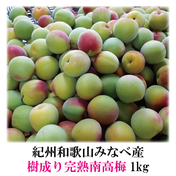 ��������� 1kg �ߴ��� �߼� �ߥ����å��� ���� ���� �²λ����ߤʤٻ� �ڣ�����ܤ��Ϥ�ͽ���