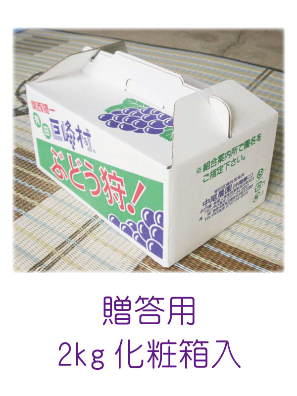   濫 ֤ɤ ²λ ͭ ¼ 껺ľ ĶŤ  ƺ · ƻҤ֤ɤ 2kg Ȣ