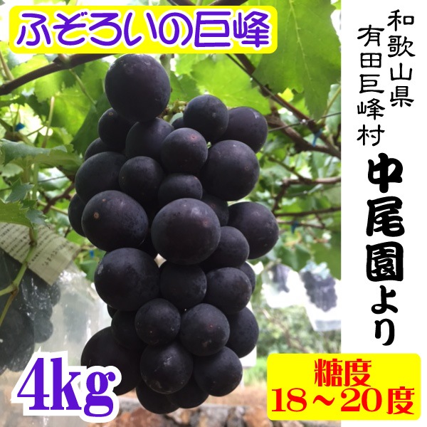 ������ ���� �濫�� �֤ɤ� �²λ���ͭ�� ����¼ �������껺��ľ�� Ķ�Ť� ���� �濫�� ��ƺ ��·�� �ƻҤ֤ɤ� 4kg�� ����Ȣ��