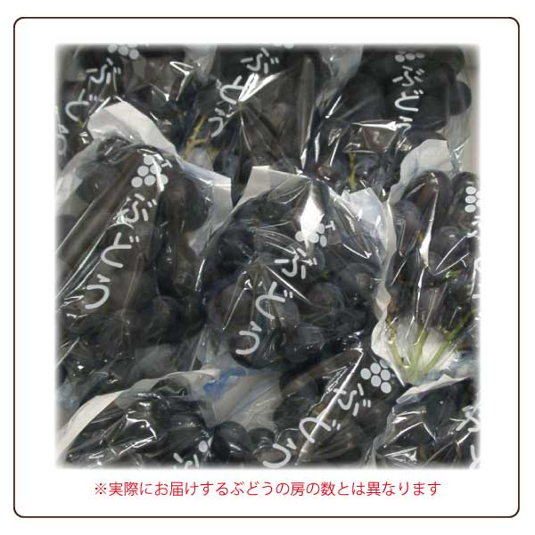 ������ ���� �濫�� �֤ɤ� �²λ���ͭ�� ����¼ �������껺��ľ�� Ķ�Ť����� ��·�� �ƻҤ֤ɤ� 5kg�� ����Ȣ��