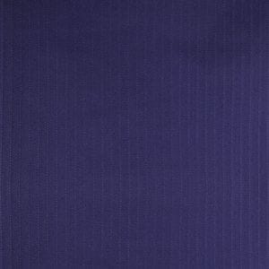 �����ϡ�43cm������(�ӥ����� �ޥ��/BIGATANE Marine)������1��50cm