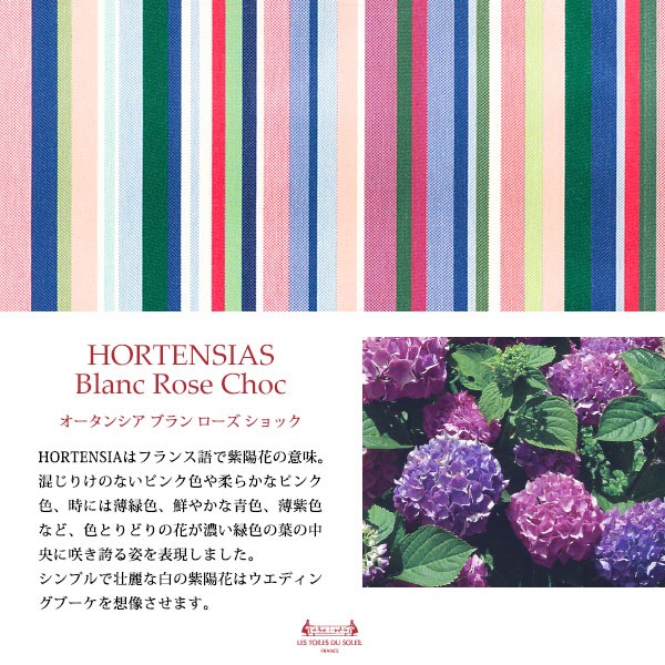 ��A253B�ۥ��ȥ�å��եѥ�������(�������󥷥� �֥�� ������ ����å�/HORTENSIAS Blanc Rose Choc)