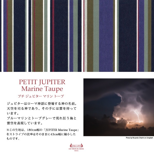 A292 եåȥ쥤ݡ(ץ ԥ ޥ ȡ/PETIT JUPITER Marine Taupe)