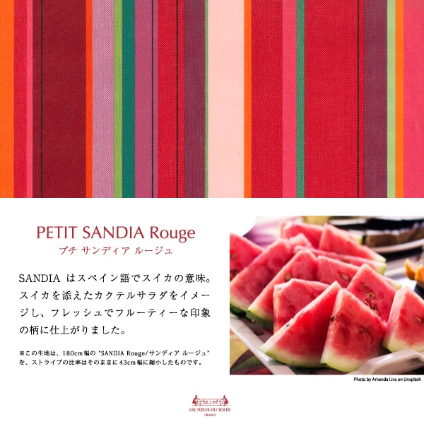 ���������ۡ�A135�ۺ����ߥ˥�����(�ץ� ����ǥ��� �롼����/PETIT SANDIA Rouge)