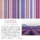 A200ۥݥȥ/ɥ̾(󥽥  /VALENSOLE Violet Lavande)