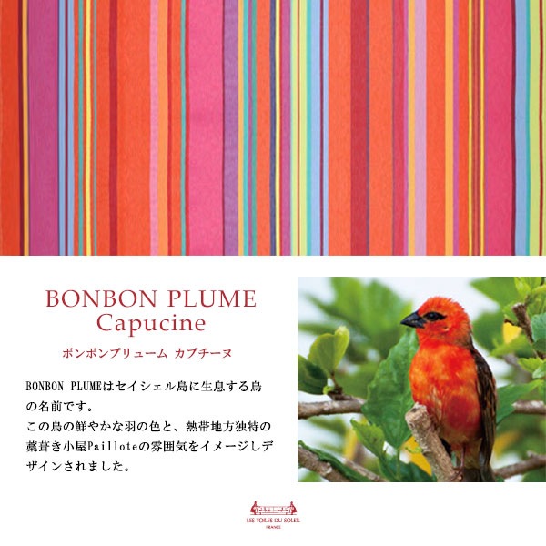 NEW�ڥե�������ϡۡ�AB021�ۥ�С����֥�ȡ���(�ܥ�ܥ�ץ�塼�� ���ץ�����/BONBON PLUMECapucine)���ѥ�����A�ڥȡ��ȥХå���