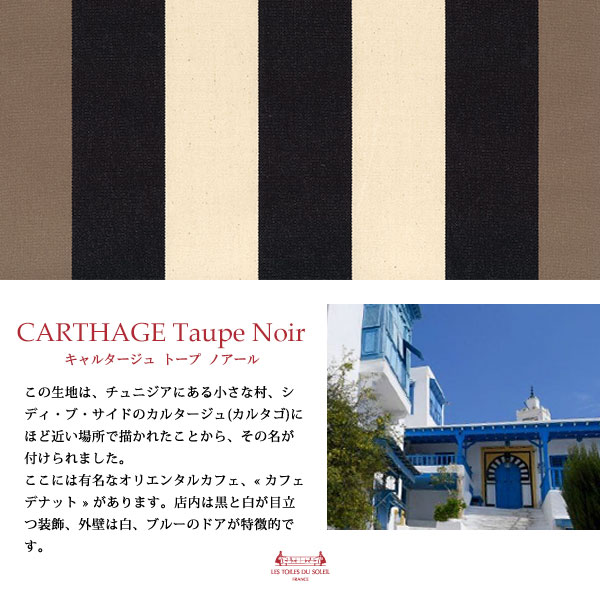 50%OFFAB001ۥХȡȡ ߥǥ(륿 ȡ Υ/CARTHAGE Taupe Noir)