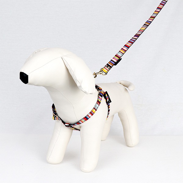 NEWAG016ۥ٥ȥϡͥSS Sunbrella(ȥ ޥ/TOM Multi)