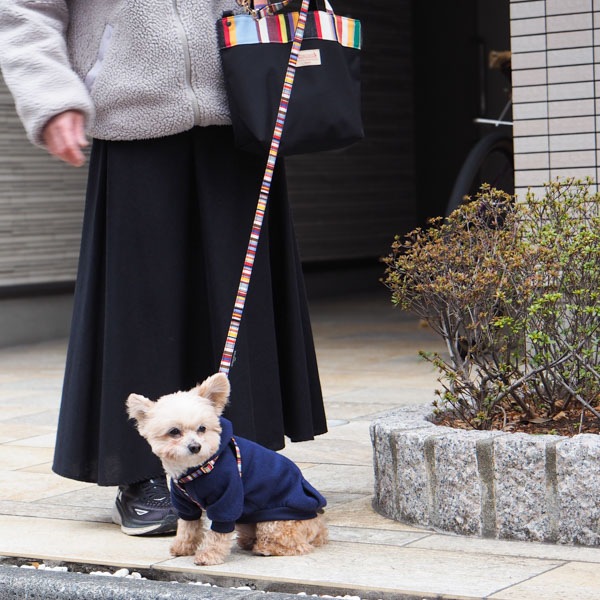 NEWAG016ۥ٥ȥϡͥSS Sunbrella(ȥ ޥ/TOM Multi)