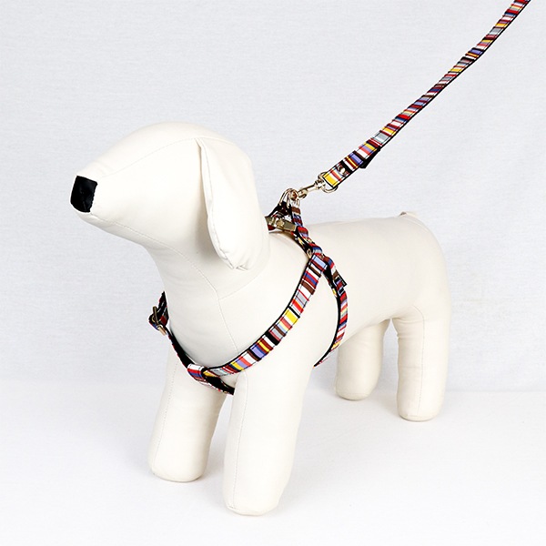 NEWAG015ۥ٥ȥϡͥS Sunbrella(ȥ ޥ/TOM Multi)