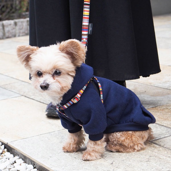 NEWAG015ۥ٥ȥϡͥS Sunbrella(ȥ ޥ/TOM Multi)