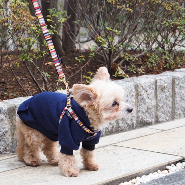 NEWAG015ۥ٥ȥϡͥS Sunbrella(ȥ ޥ/TOM Multi)