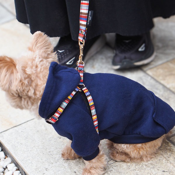 NEWAG015ۥ٥ȥϡͥS Sunbrella(ȥ ޥ/TOM Multi)