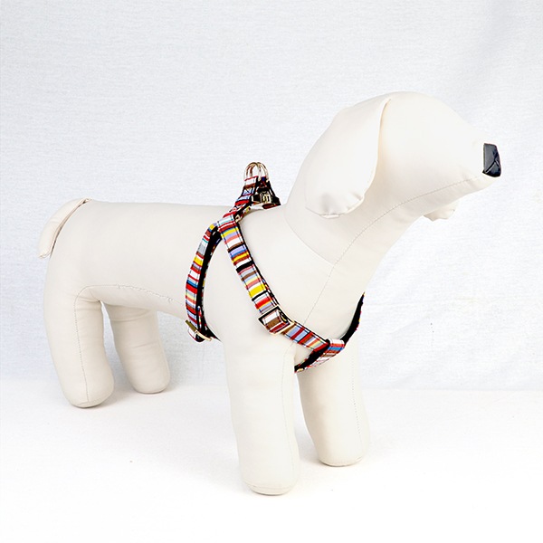 NEWAG015ۥ٥ȥϡͥS Sunbrella(ȥ ޥ/TOM Multi)