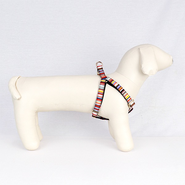 NEWAG015ۥ٥ȥϡͥS Sunbrella(ȥ ޥ/TOM Multi)