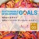 NEW���������ۡ�A300�ۥ��å��륭���ۥ����(�ޥ��/Multi)���ץ͡��ࡧ��å�