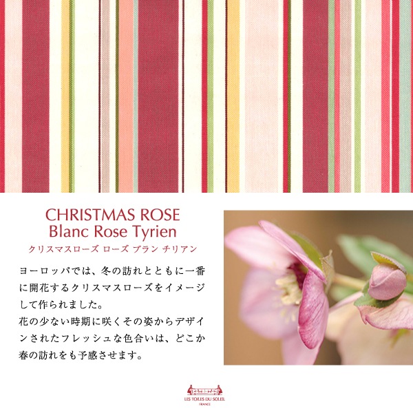 YZ001ۣУ֣åȥޥå(ꥹޥ ֥  ꥢ/CHRISTMAS ROSE Blanc Rose Tyrien)