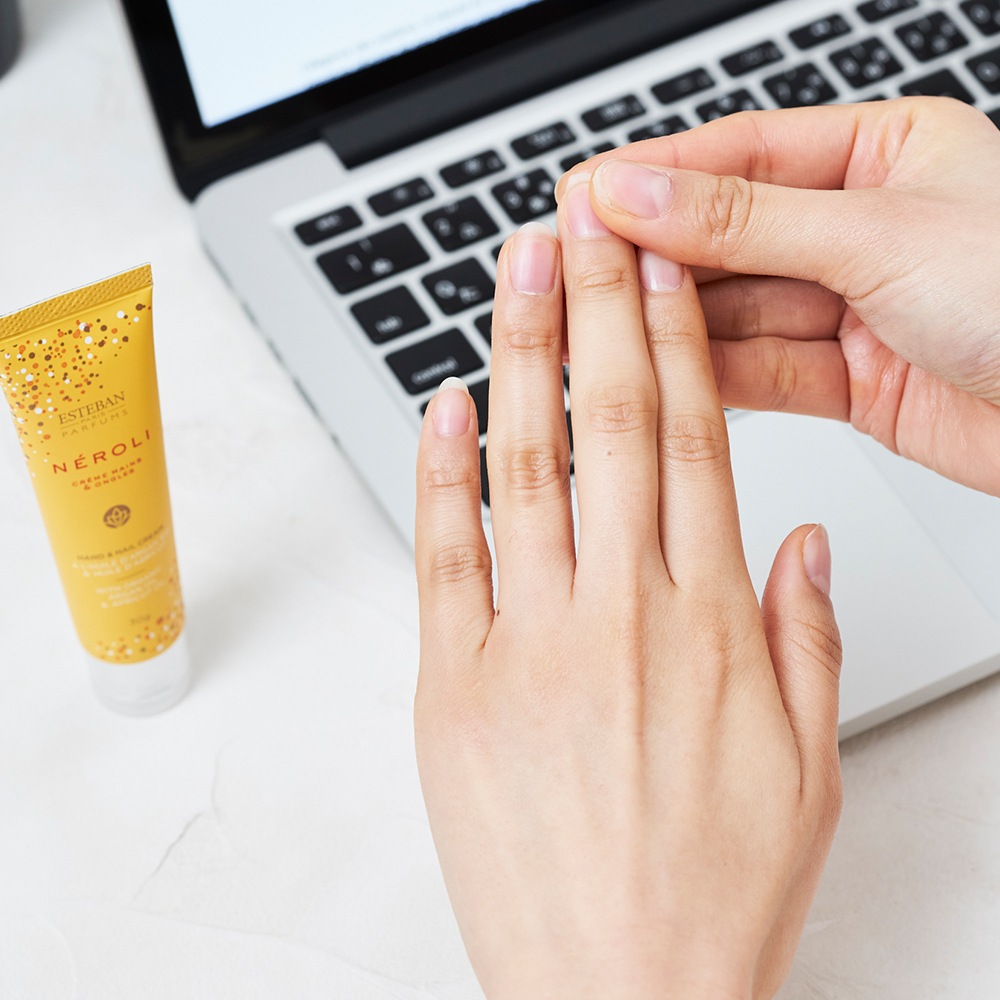 ��ESTEBAN / �������������٤�ۥϥ�ɥ��꡼�ࡦ����������ϥ󥫥����å�