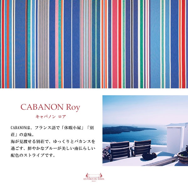 NEWAG009ۥ㥹֥륫顼 S(ХΥ /CABANON Roy)