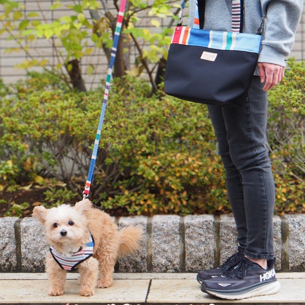 AG010ۥɥåϡͥ S(ХΥ /CABANON Roy)