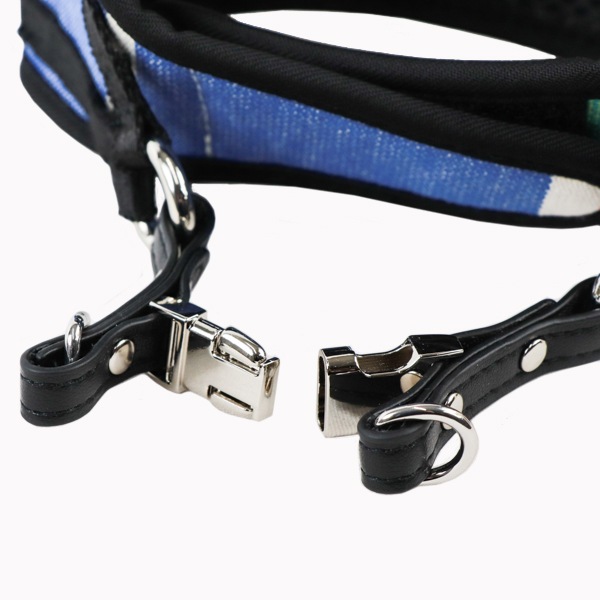 AG010ۥɥåϡͥ S(ХΥ /CABANON Roy)