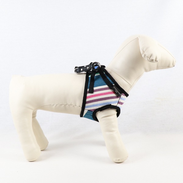 AG010ۥɥåϡͥ S(ХΥ /CABANON Roy)