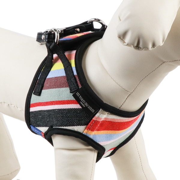 AG010ۥɥåϡͥ S(ȥ ޥ/TOM Multi)